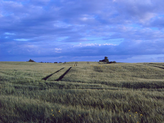 Peter T�pfer Fotografie 4
