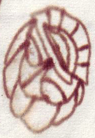 Peter T�pfer Arbeiten mit Tinte 5